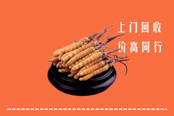 高价求购：海东市平安回收散虫草