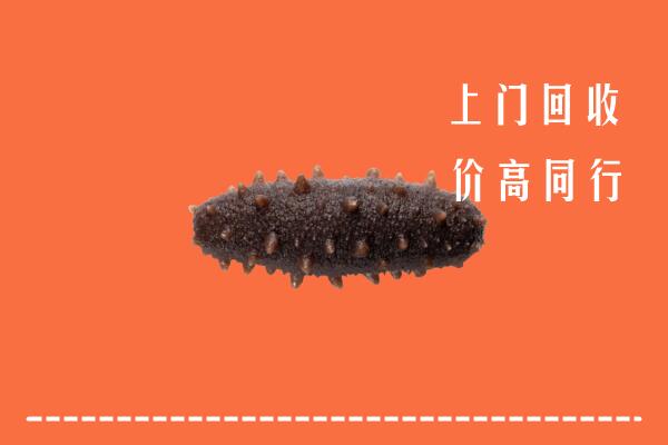海东市平安回收海参
