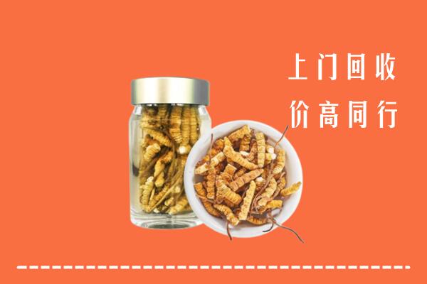 海东市平安回收冬虫夏草